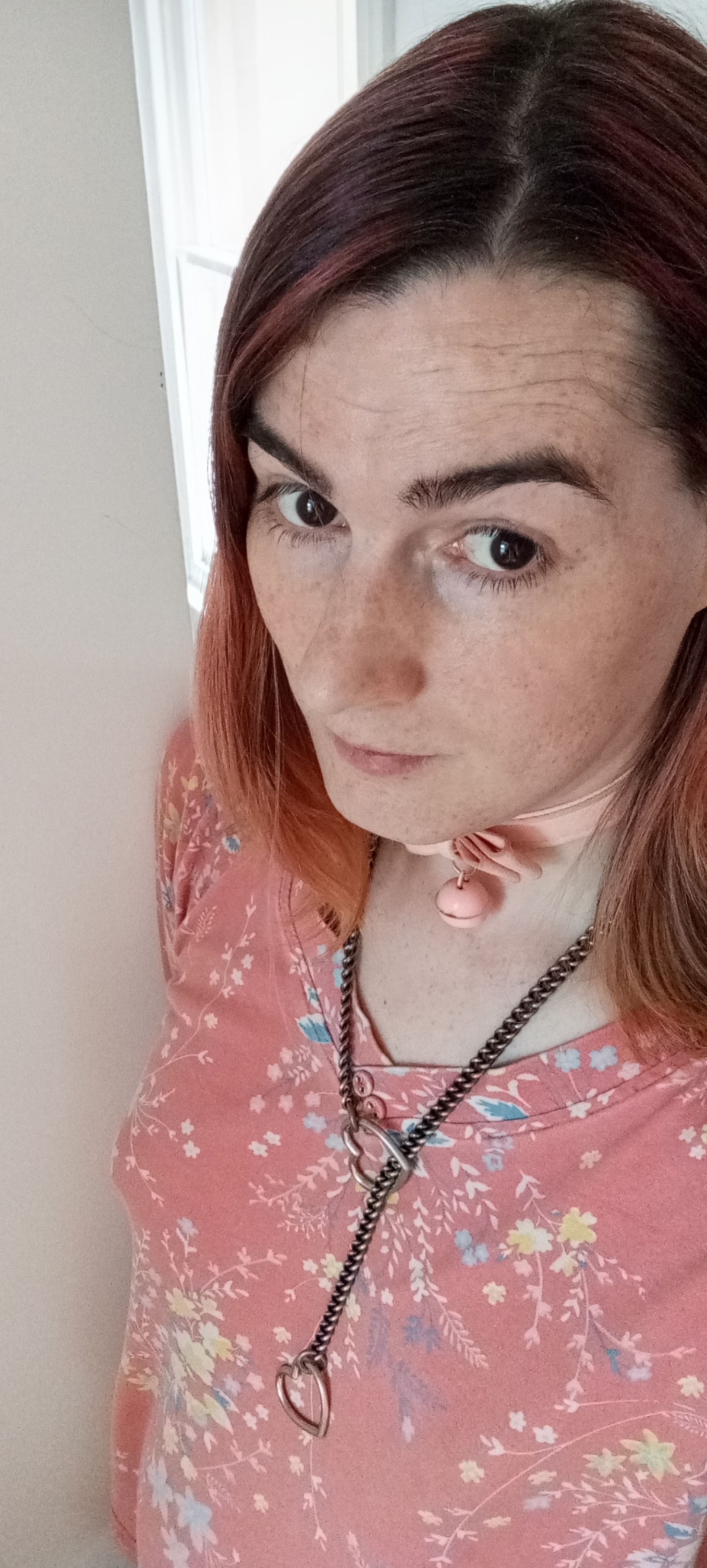 Brielle Labingi is wearing a pink top with floral highlights, she has put on her pink collar with a bow an bell on it. She is looking up at the camera with wide eyes.