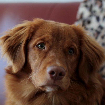 livingcooki@void.lgbt