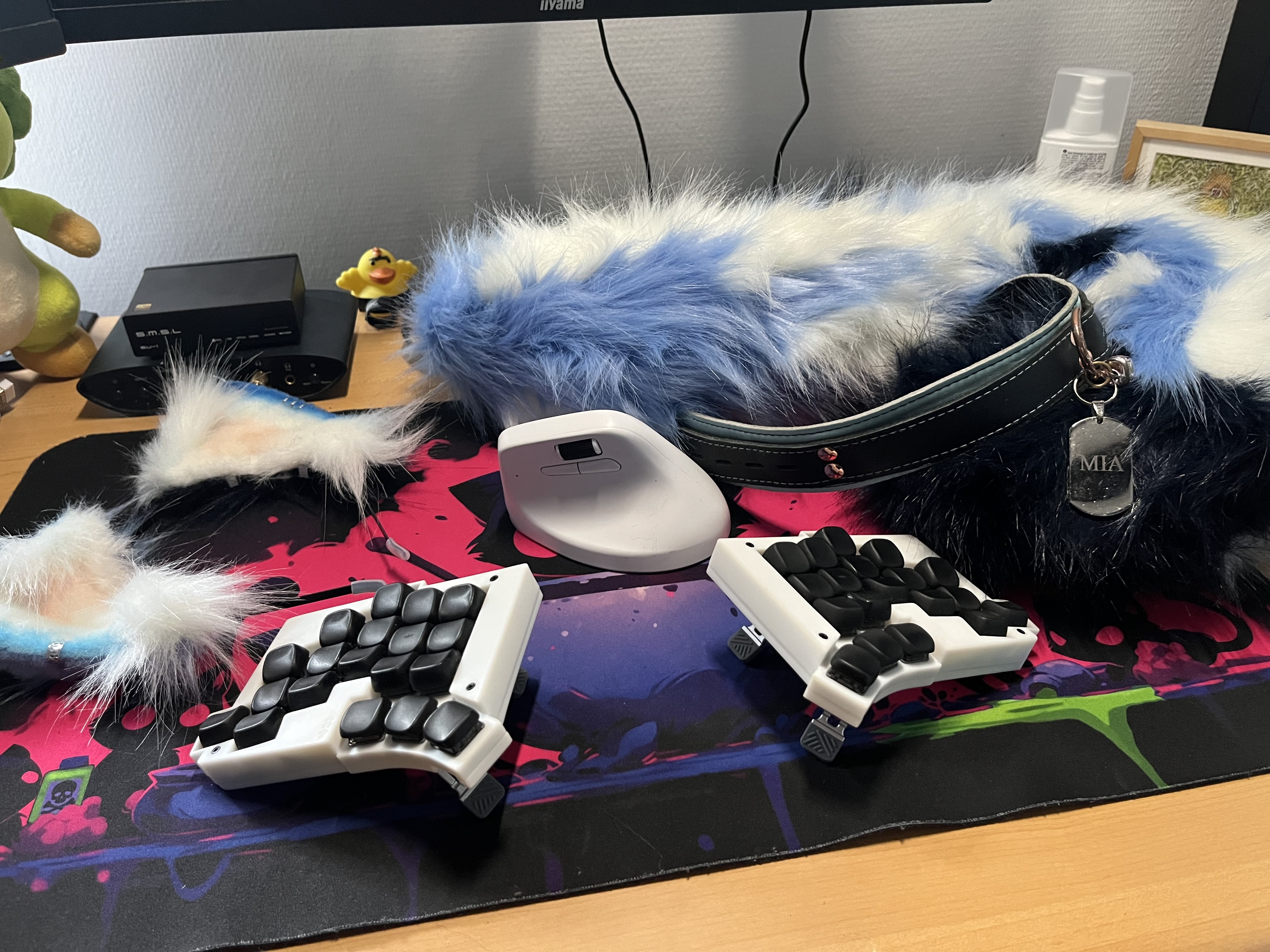 My Totem split keyboard and Keychron ergo mouse. Alongside a blue, white tail and cat ears. And a blue collar.